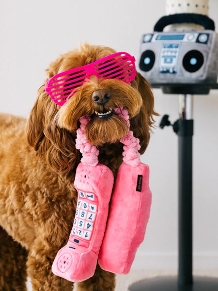 Pet-play-jouet-peluche-chien-80s-Classics-Toy-Paw-Talk