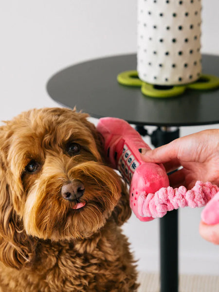 Pet-play-jouet-peluche-chien-80s-Classics-Toy-Paw-Talk