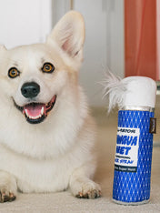 Pet-play-jouet-peluche-chien-80s-Classics-Toy-PawquaNet