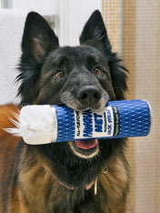 Pet-play-jouet-peluche-chien-80s-Classics-Toy-PawquaNet