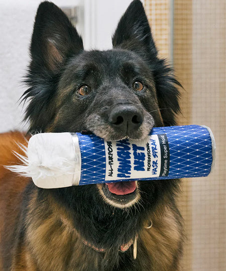 Pet-play-jouet-peluche-chien-80s-Classics-Toy-PawquaNet