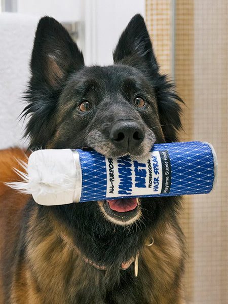 Pet-play-jouet-peluche-chien-80s-Classics-Toy-PawquaNet