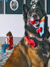 Pet-play-jouet-peluche-chien-80s-Classics-Toy-Ready-PlayerFun