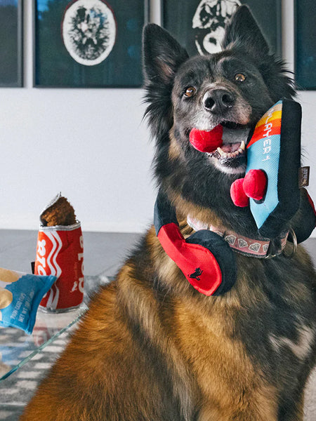 Pet-play-jouet-peluche-chien-80s-Classics-Toy-Ready-PlayerFun