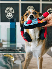 Pet-play-jouet-peluche-chien-80s-Classics-Toy-Ready-PlayerFun