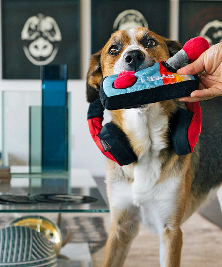 Pet-play-jouet-peluche-chien-80s-Classics-Toy-Ready-PlayerFun