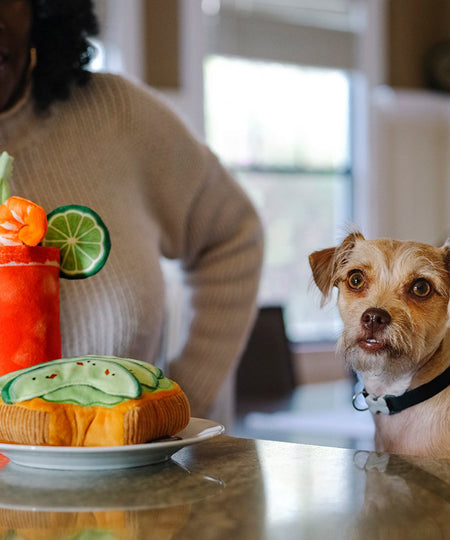 Pet-play-jouet-peluche-chien-BarkingBrunch-avo-doggo-toast