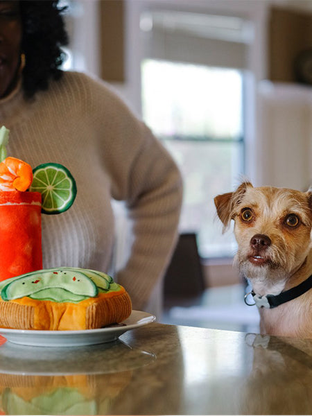 Pet-play-jouet-peluche-chien-BarkingBrunch-avo-doggo-toast