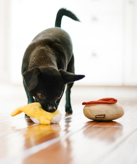 Pet-play-jouet-peluche-chien-BarkingBrunch-oeuf-benedicte