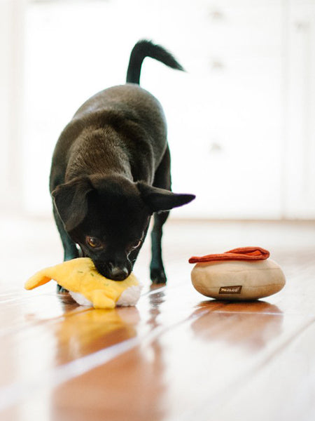 Pet-play-jouet-peluche-chien-BarkingBrunch-oeuf-benedicte