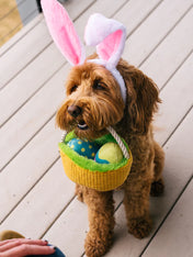 Pet-play-jouet-peluche-chien-Hippity-Hoppity-Eggs-cellent-Basket