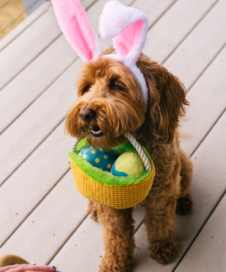 Pet-play-jouet-peluche-chien-Hippity-Hoppity-Eggs-cellent-Basket