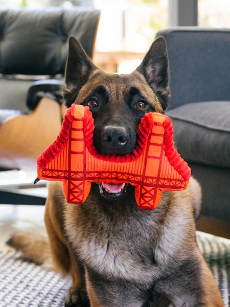 Pet-play-jouet-peluche-chien-Totally-Touristy-pont-san-francsico