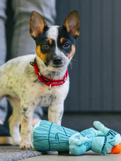 Pet-play-jouet-peluche-chien-Totally-Touristy-statue-liberte