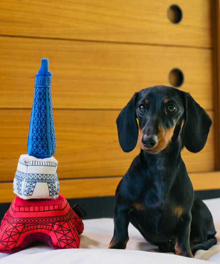 Pet-play-jouet-peluche-chien-Totally-Touristy-tour-effeil