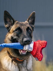 Pet-play-jouet-peluche-chien-Totally-Touristy-tour-effeil