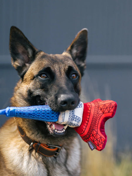 Pet-play-jouet-peluche-chien-Totally-Touristy-tour-effeil