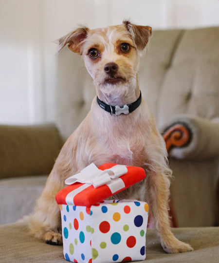 Pet-play-jouet-peluche-chien-cadeau-anniversaire