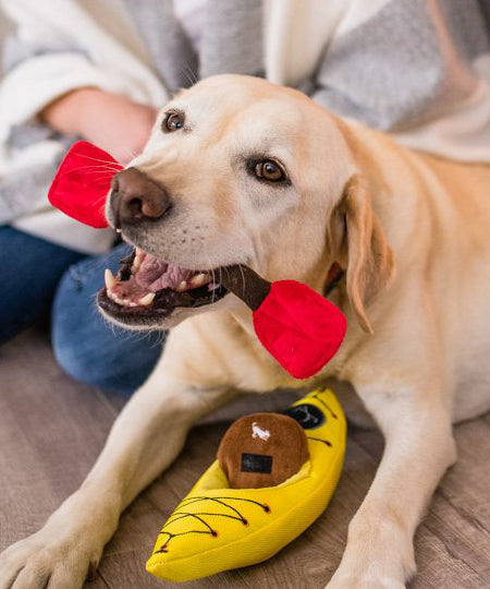 Pet-play-jouet-peluche-chien-camp-k9-kayak