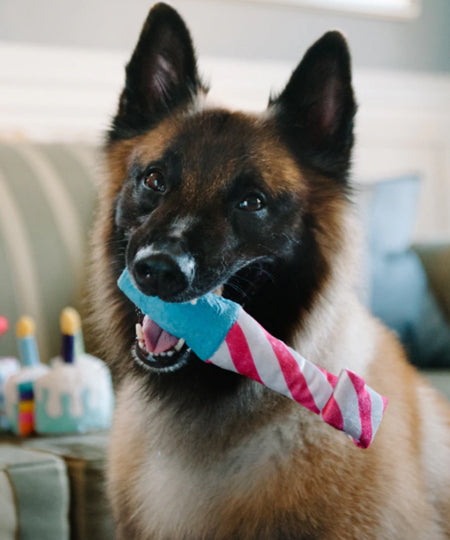 Pet-play-jouet-peluche-chien-cotillon