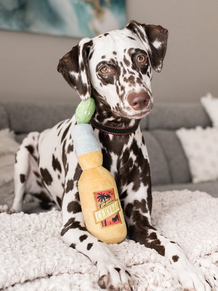 Pet-play-jouet-peluche-chien-tropical-paradise-canice-cerveza