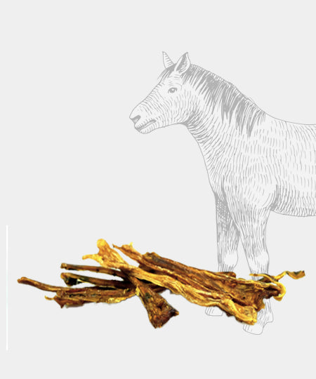 Pets-best-friandises-a-macher-pour-chien-premium-tendon-cheval