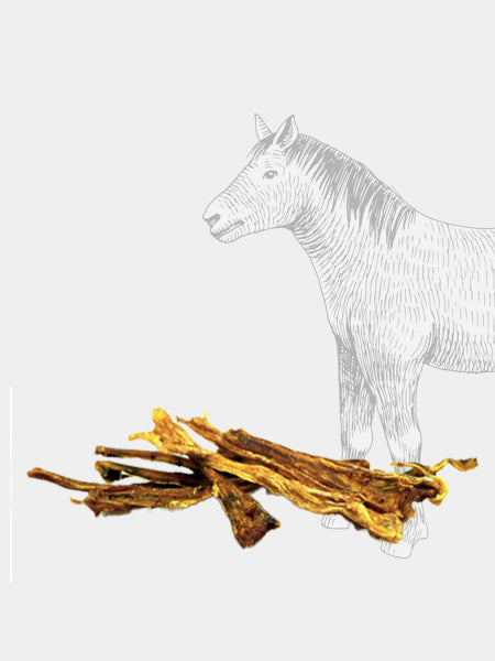 Pets-best-friandises-a-macher-pour-chien-premium-tendon-cheval