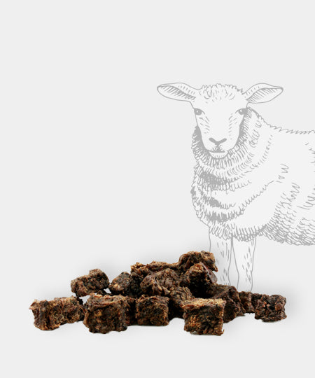 Pets-best-friandises-pour-chien-premium-education-agneau
