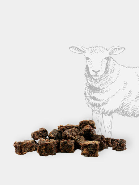 Pets-best-friandises-pour-chien-premium-education-agneau