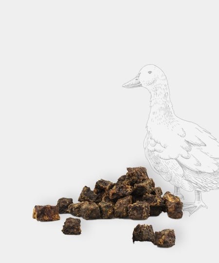 Pets-best-friandises-pour-chien-premium-education-carnard