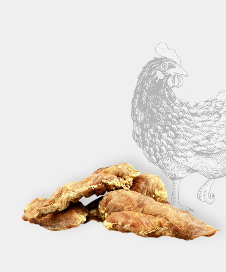 Pets-best-friandises-pour-chien-premium-filet-poulet