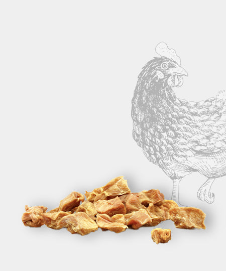 Pets-best-friandises-pour-chien-premium-nuggets-poulet