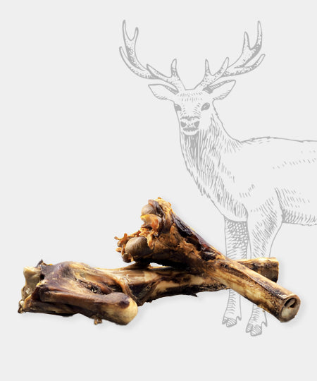 Pets-best-friandises-pour-chien-premium-os-moelle-a-macher-chien