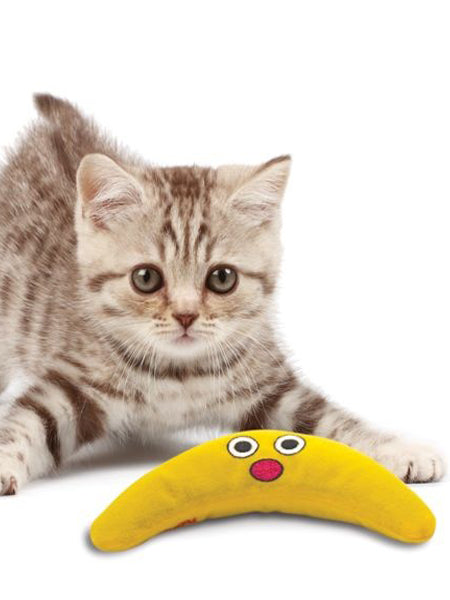 Jouet stimulant pour chat a herbe à chat