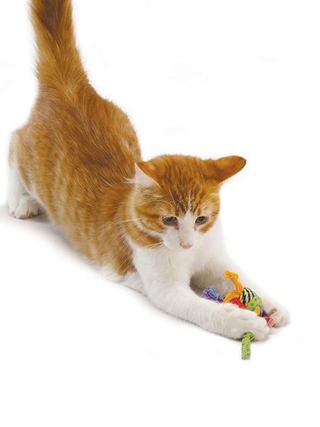 Petstages-jouet-pour-chat-balle-laine