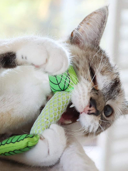 Petstages-jouet-pour-chat-mint-stick