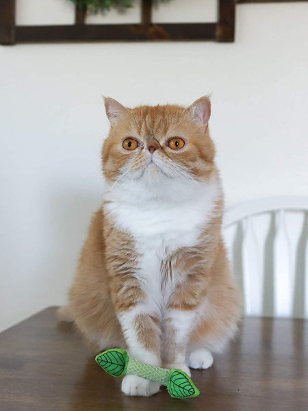 Petstages-jouet-pour-chat-mint-stick