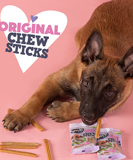 Smoofl-batonnet-glace-pour-chien-friandises