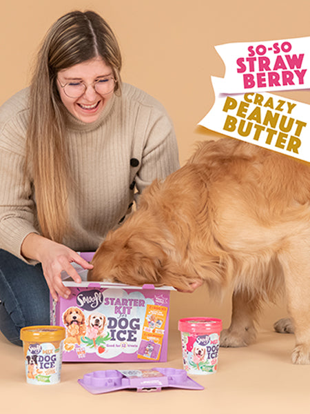       Smoofl-glace-chien-starter-kit-pack-grand-chien