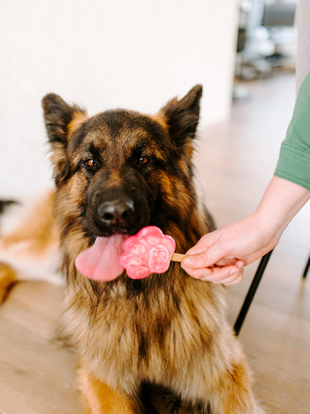 Smoofl-glace-pour-chien-fraise