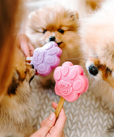 Smoofl-glace-pour-chien-fraise