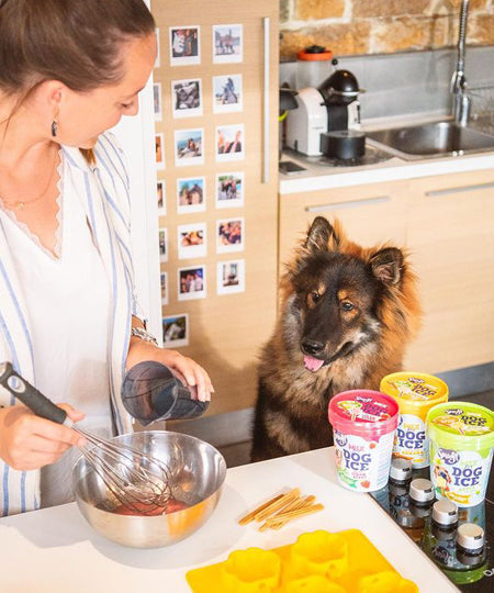 Smoofl-moule-pour-glace-pour-chiot