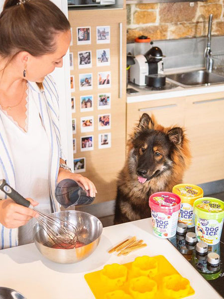 Smoofl-moule-pour-glace-pour-chiot