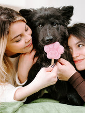 Smoofl-glace-pour-chien-fraise
