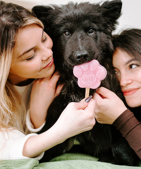 Smoofl-glace-pour-chien-fraise
