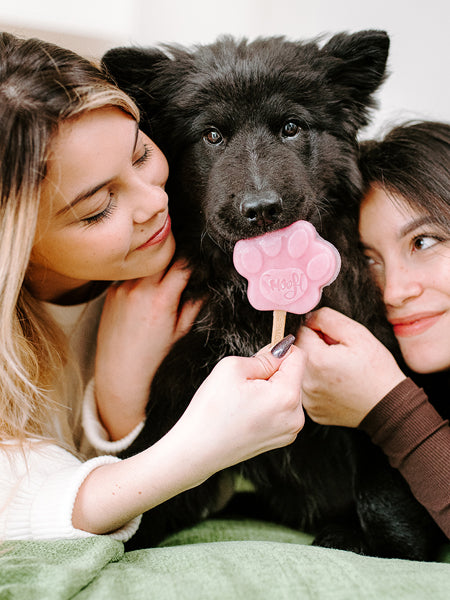 Smoofl-glace-pour-chien-fraise