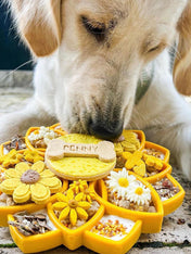 SodaPup-jouet-enrichissement-etray-pour-chien-chiot-mandala-jaune