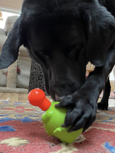 SodaPup-jouet-interactif-pour-chien-chiot-Unstoppables-Chewers