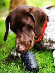 SodaPup-jouet-interactif-pour-chien-chiot-canette-noir