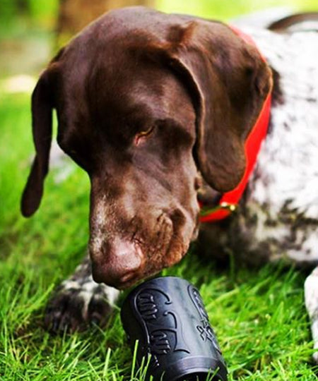 SodaPup-jouet-interactif-pour-chien-chiot-canette-noir